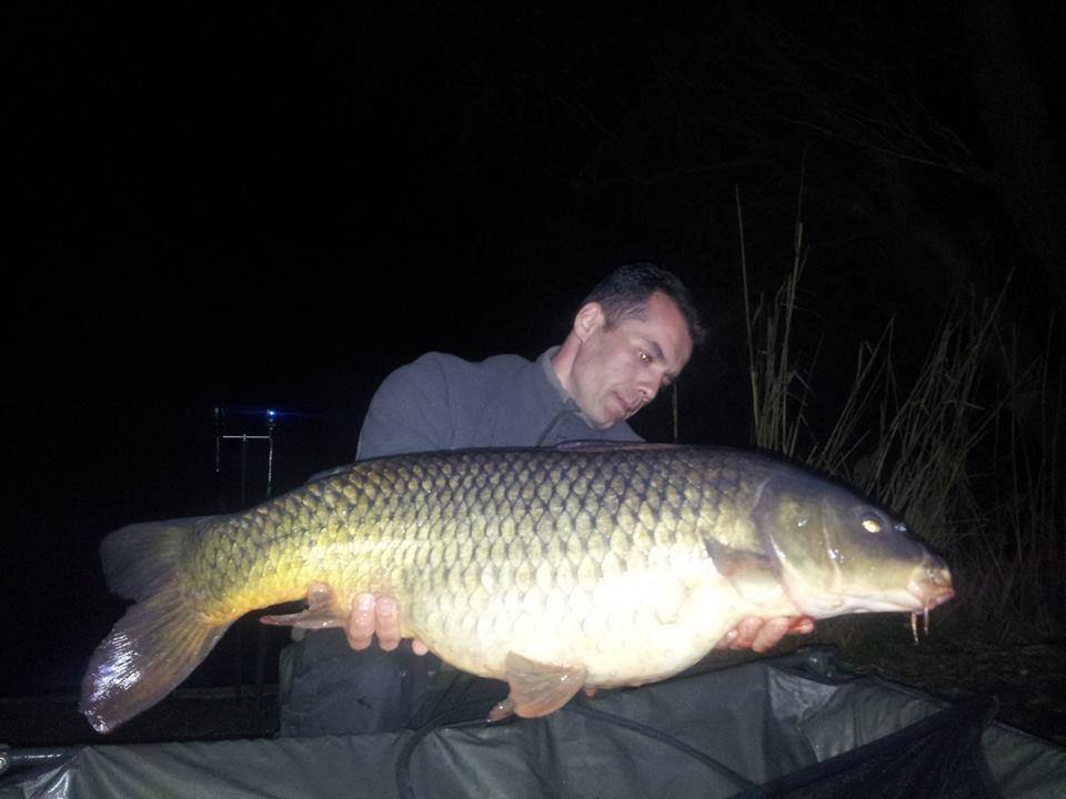 Tancabesti 28 - 29 mar. - 101536206601882773623101022629079n.jpg